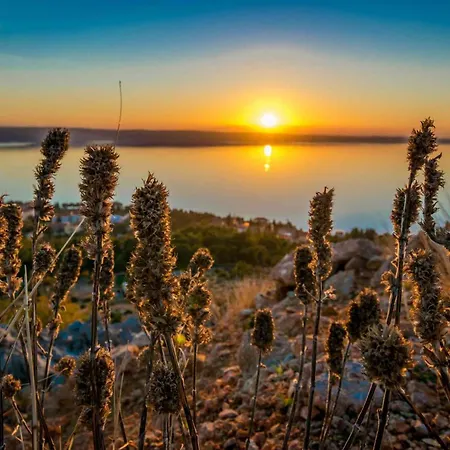 In Starigrad-paklenica 50110 Apartmán Starigrad Paklenica